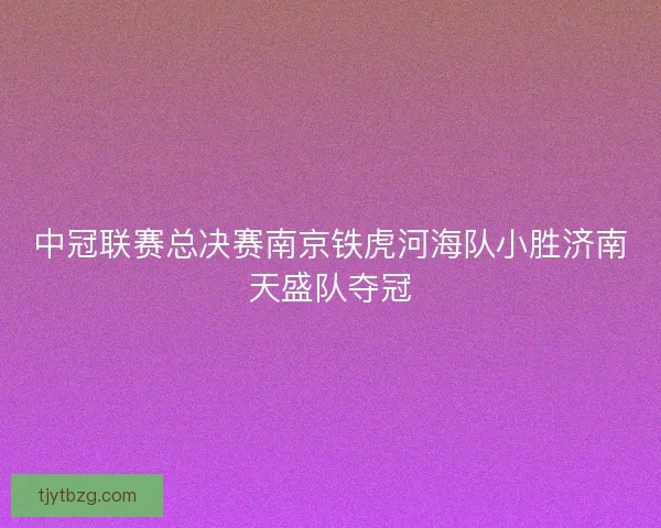 中冠联赛总决赛南京铁虎河海队小胜济南天盛队夺冠